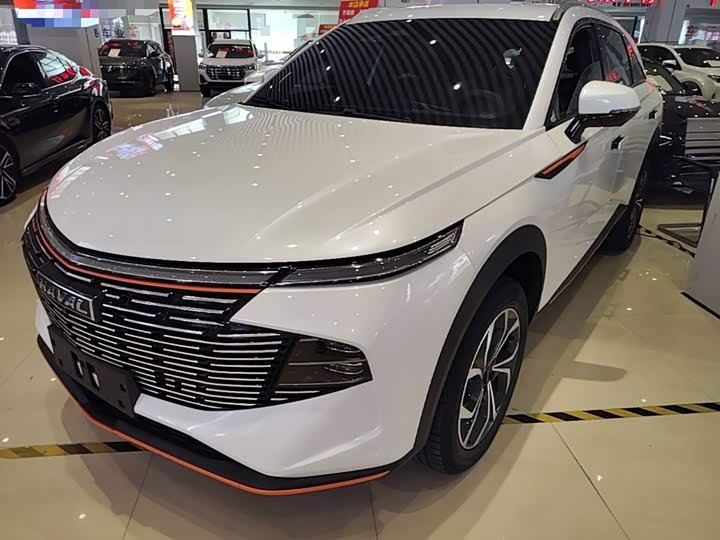 Haval Big Dog