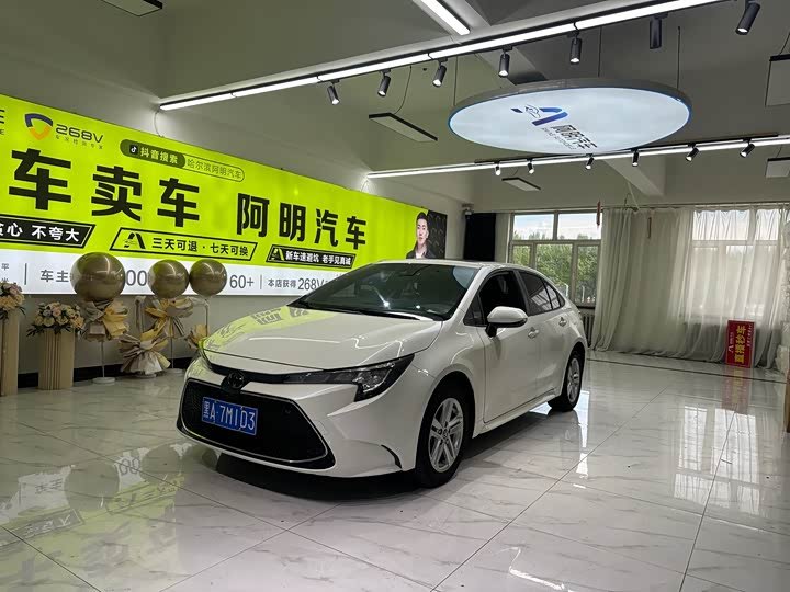 Toyota Levin