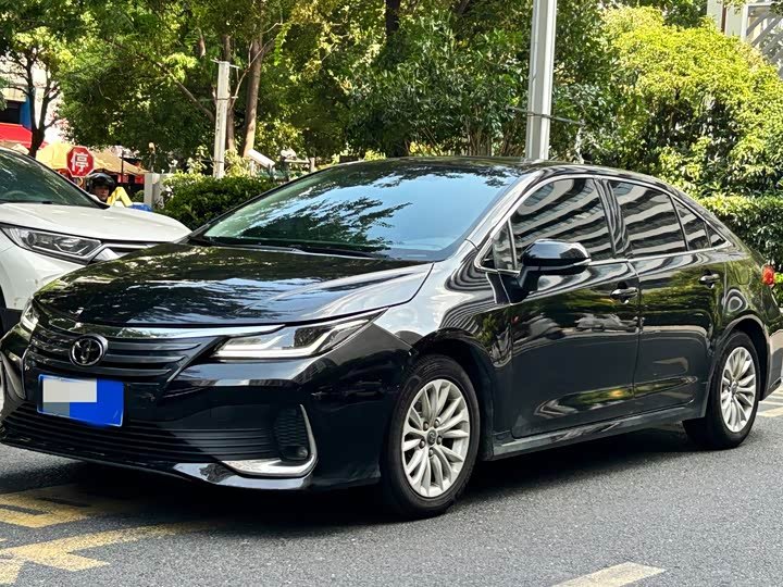 Toyota Asian Lion