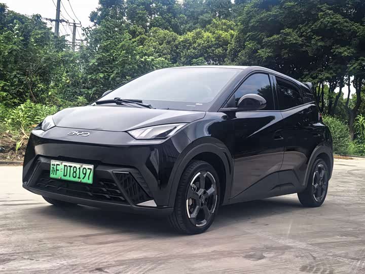 BYD Seagull