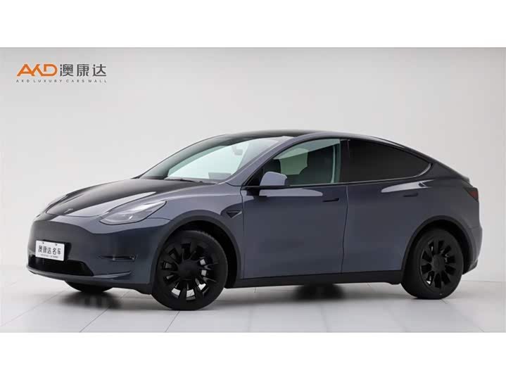 Tesla Model