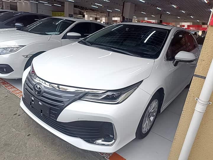 Toyota Asian Lion