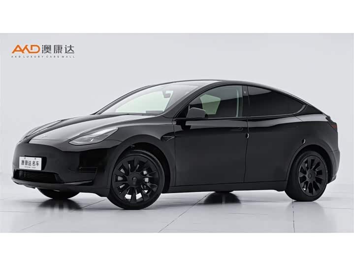 Tesla Model