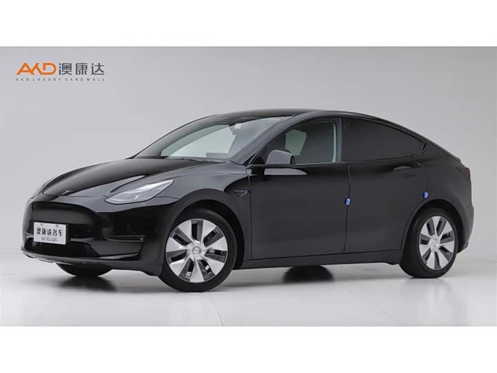 Tesla Model