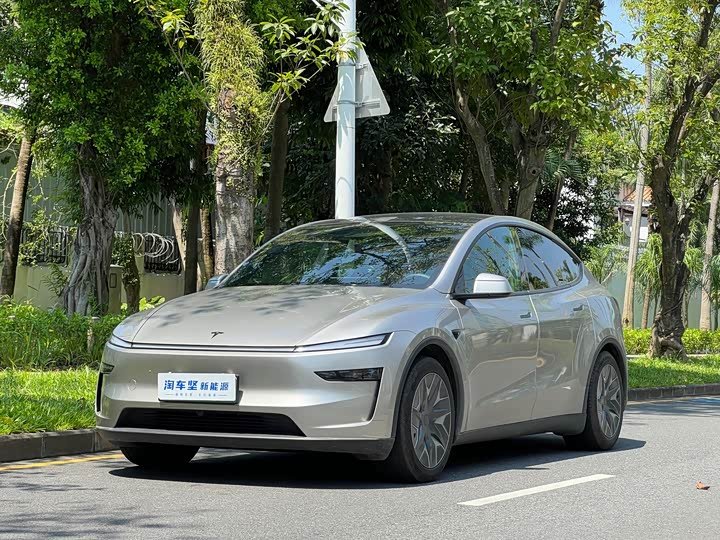 Tesla Model Y L