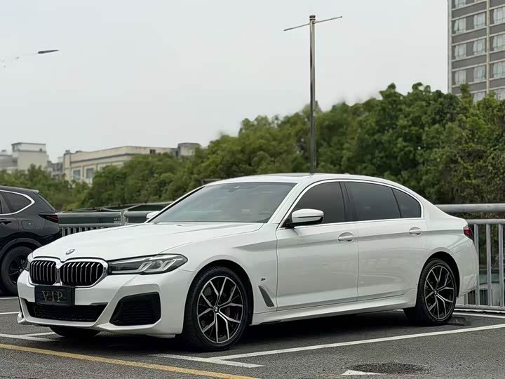 BMW 530Li