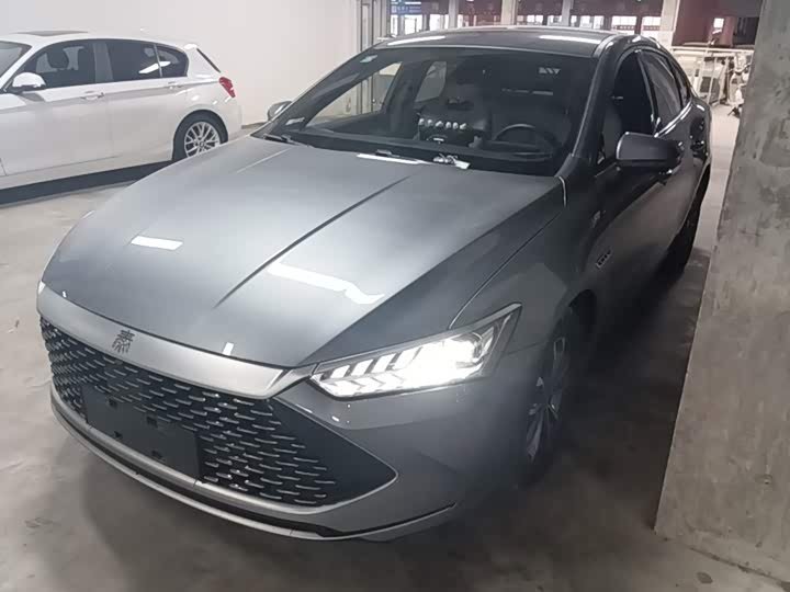 BYD PLUS