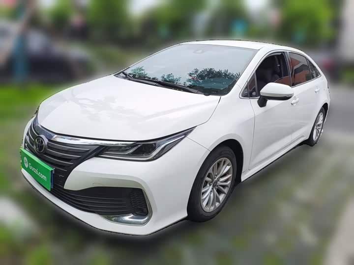 Toyota Asian Lion