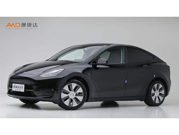 Tesla Model