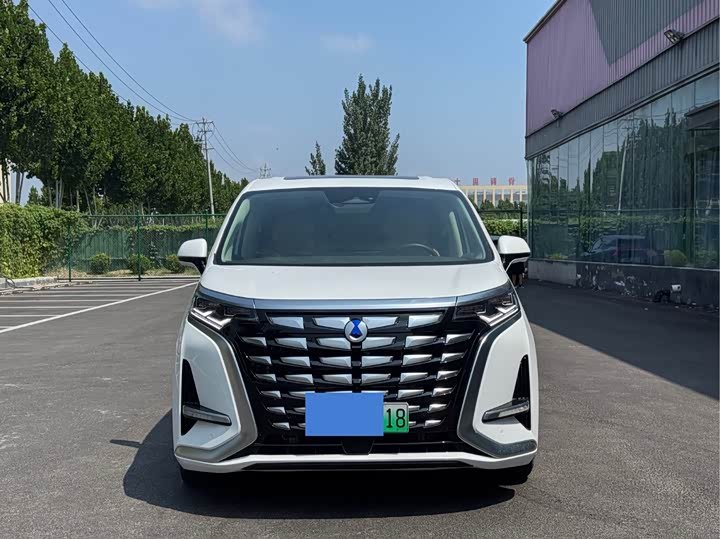 Denza D9