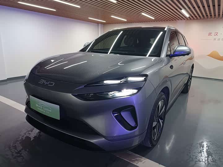 BYD Haise 06