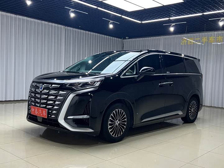 Denza D9