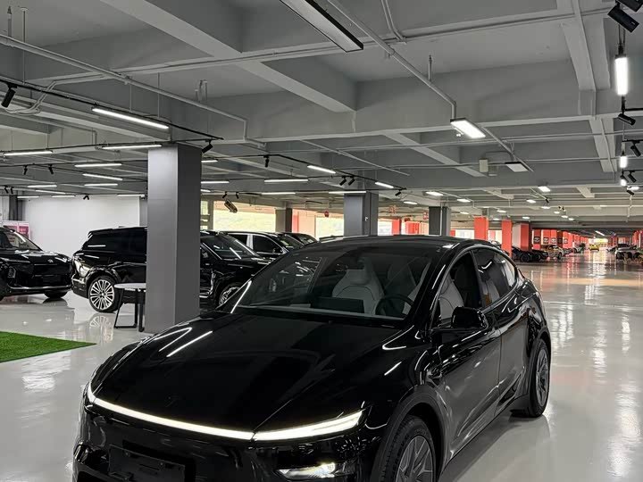 Tesla Model Y L