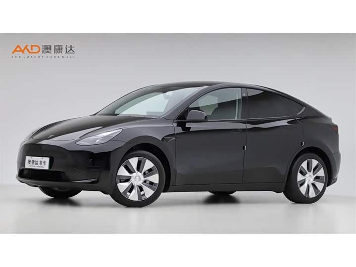 Tesla Model