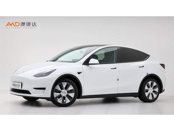 Tesla Model