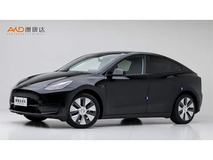 Tesla Model
