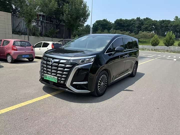 Denza D9