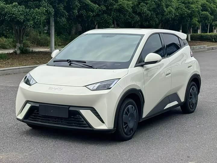 BYD Seagull