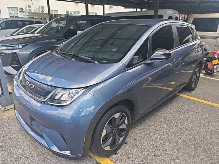 BYD Dolphin