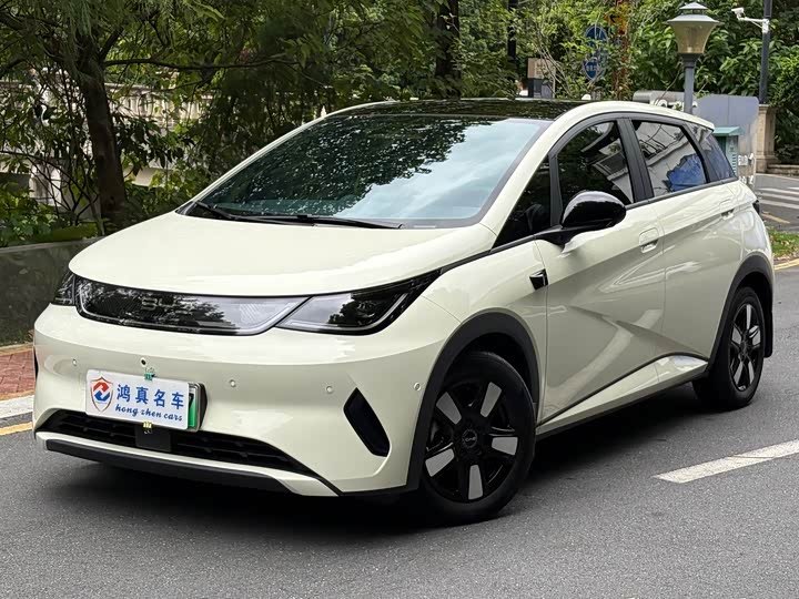 BYD Dolphin