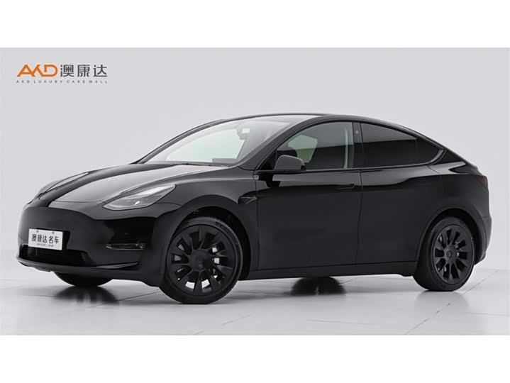 Tesla Model