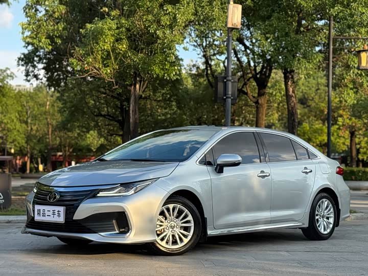 Toyota Asian Lion