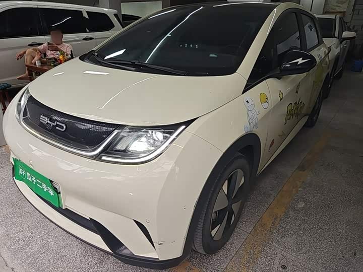 BYD Dolphin