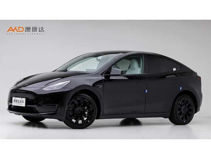 Tesla Model