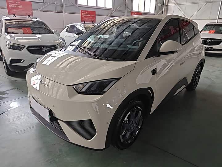 BYD Seagull