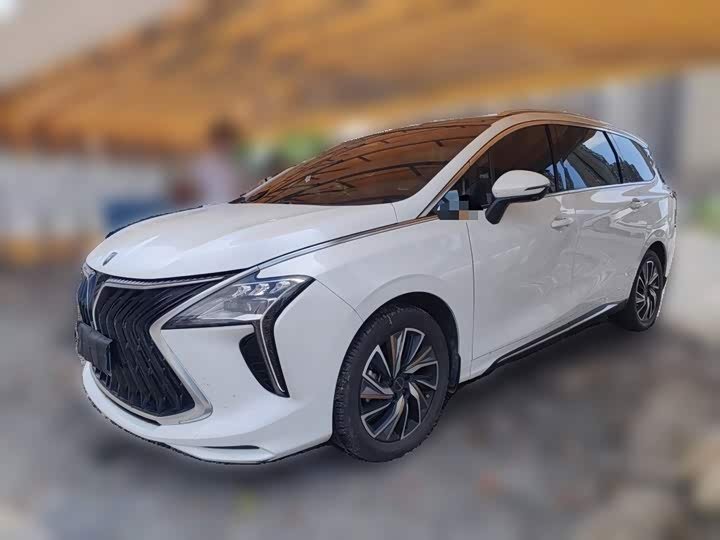 Dongfeng Forthing Yacht