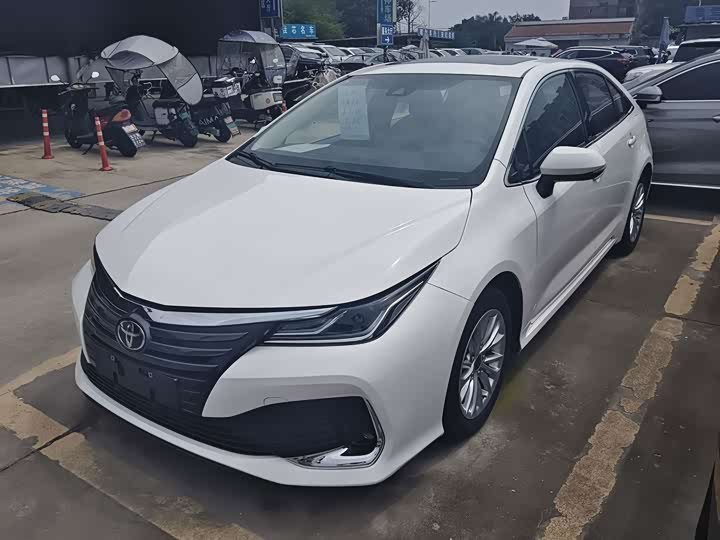Toyota Asian Lion