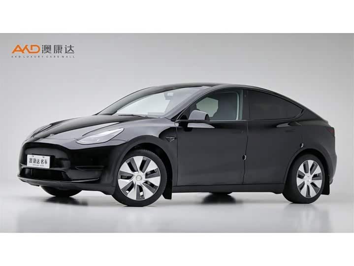 Tesla Model