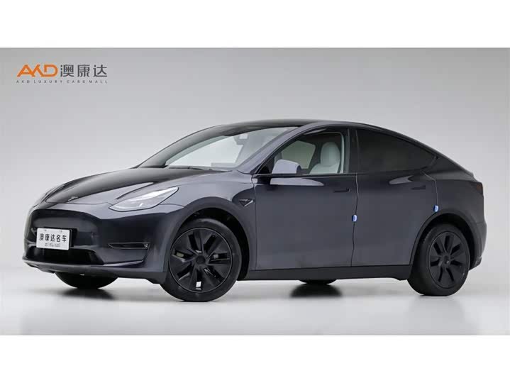 Tesla Model