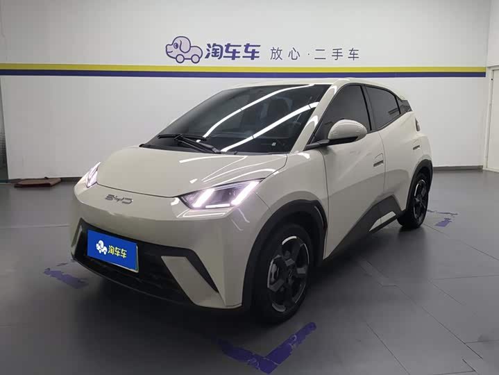 BYD Seagull