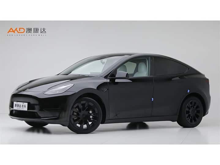 Tesla Model