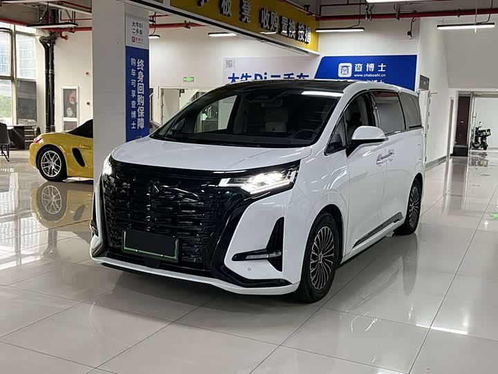 Denza D9
