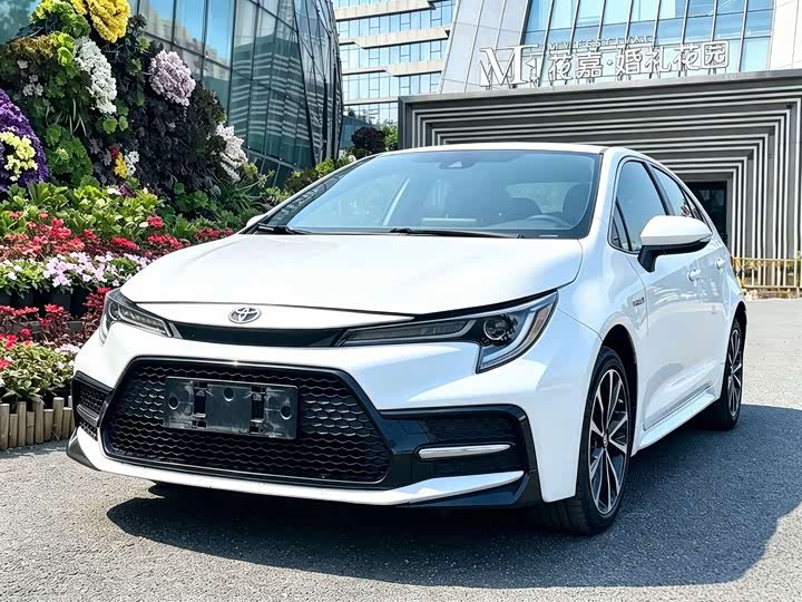 Toyota Levin