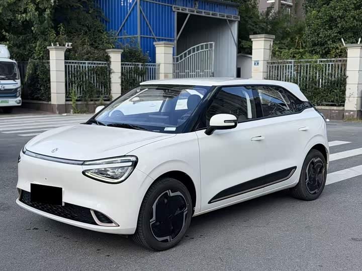 Dongfeng Nammi 01