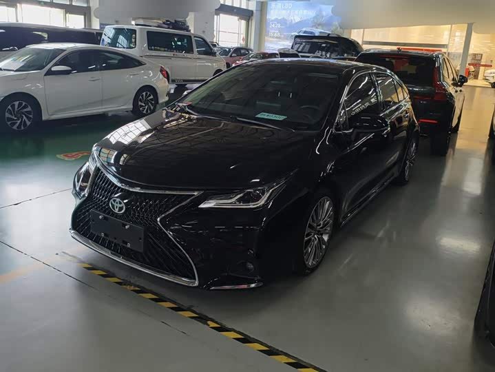 Toyota Asian Lion