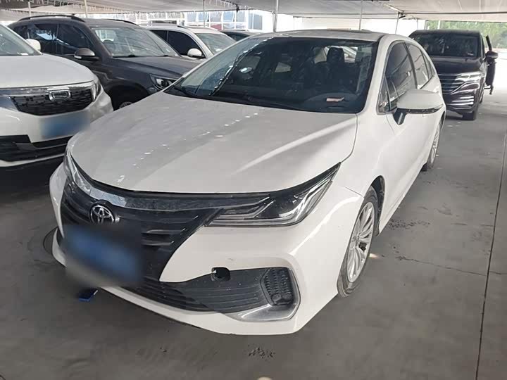 Toyota Asian Lion