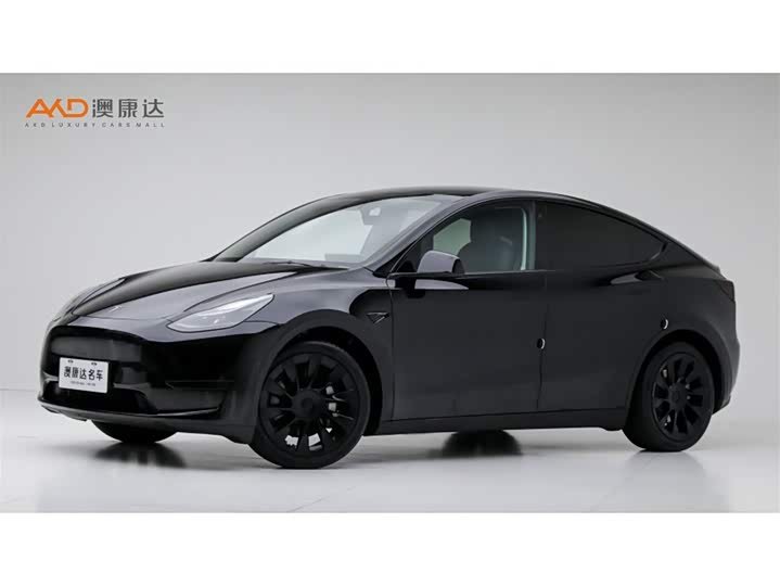 Tesla Model