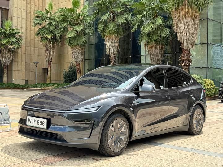 Tesla Model Y L