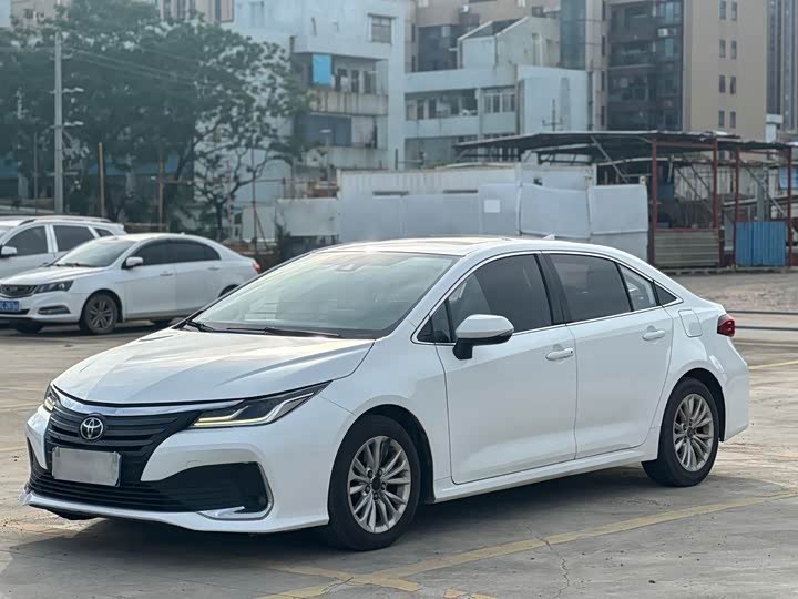 Toyota Asian Lion