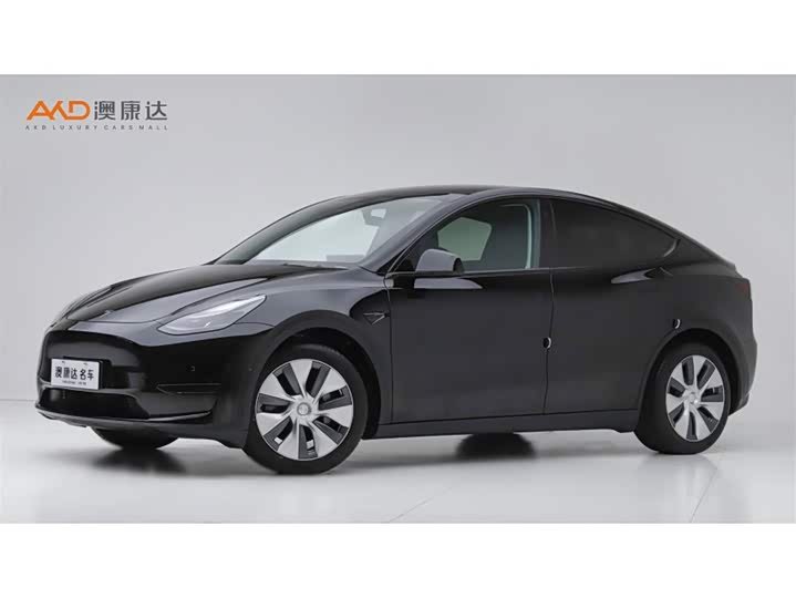 Tesla Model