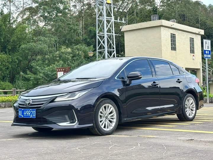 Toyota Asian Lion