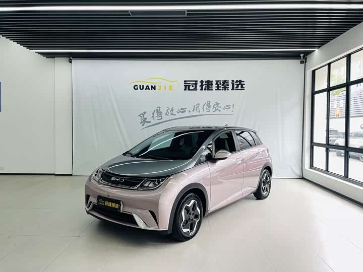 BYD Dolphin
