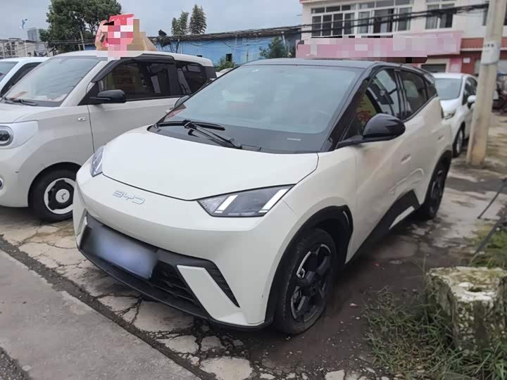 BYD Seagull