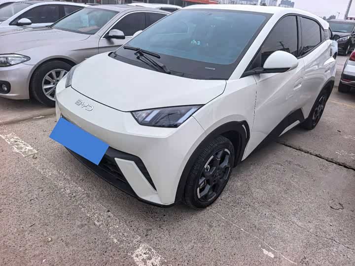 BYD Seagull