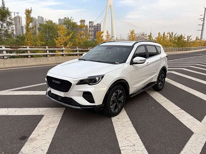 Soueast DX8S