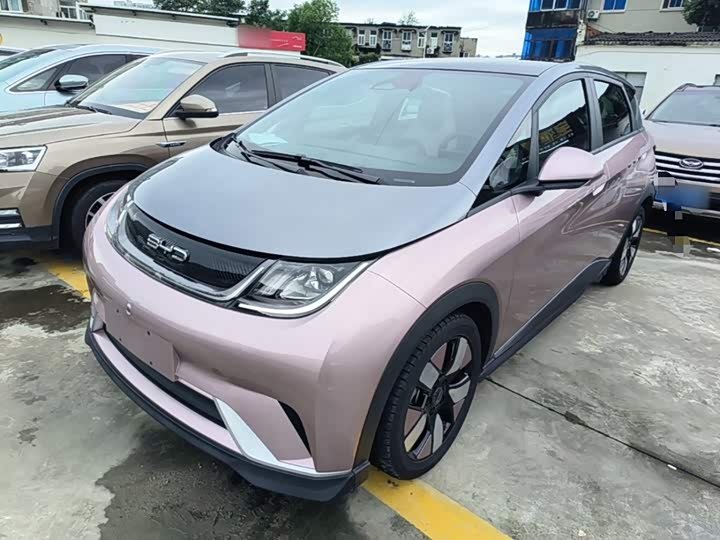 BYD Dolphin
